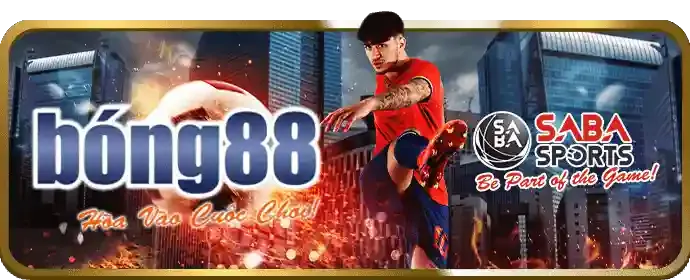 Cá cược thể thao ku3933